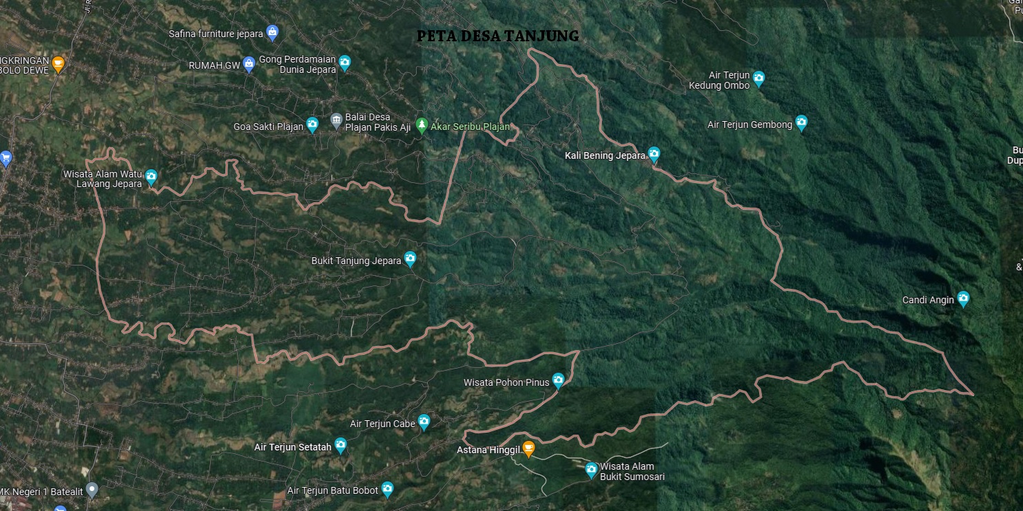 PETA DESA TANJUNG